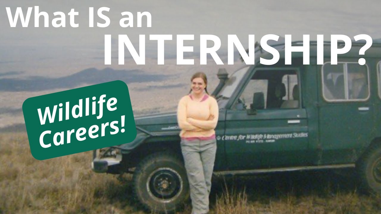 What Exactly is a Wildlife Internship?