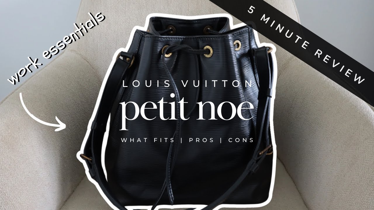 IS THIS THE BAG FOR YOU? Petit Noe Review |What Fits, Pros, Cons & Mod Shots all in just *5 MINUTES*