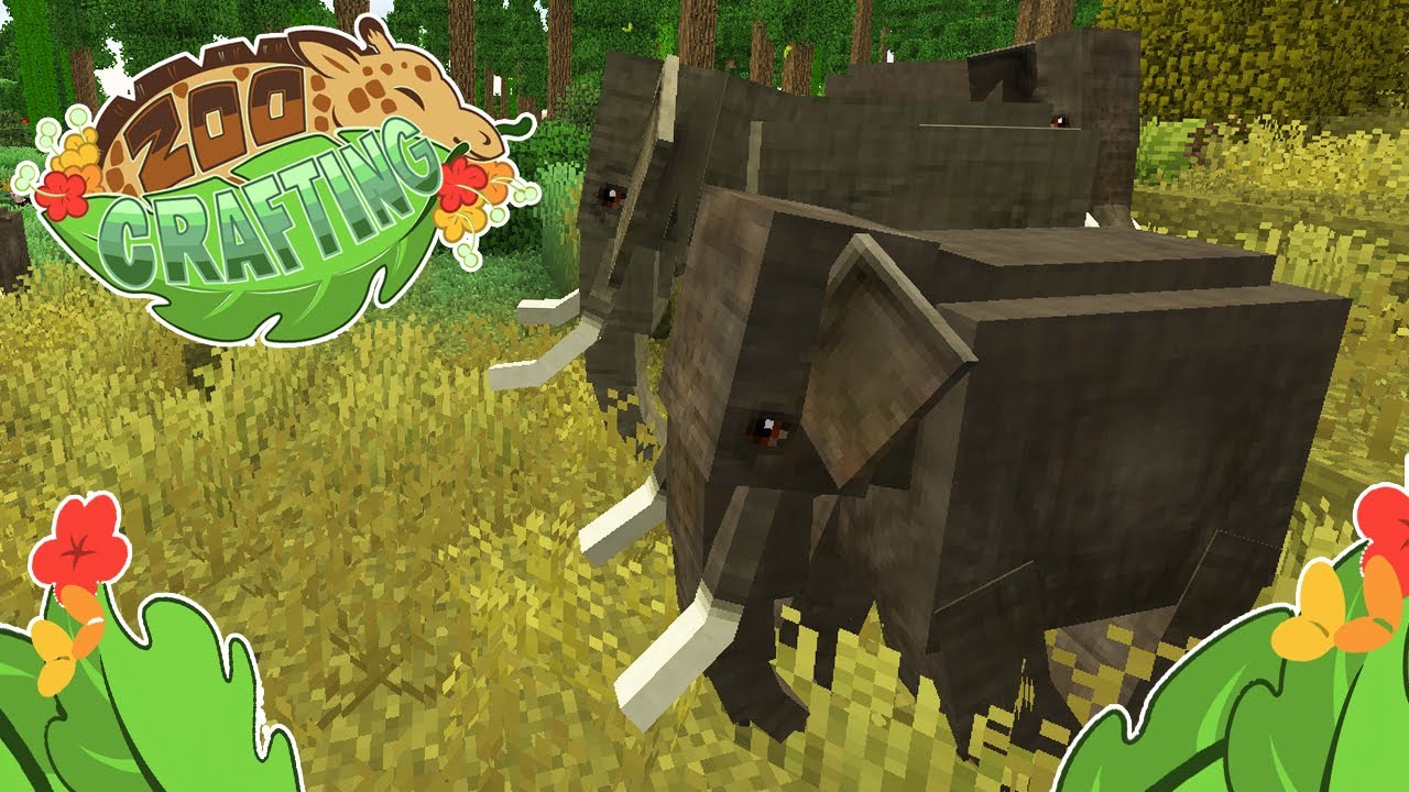 Release the ELEPHANTS!! 🦒 Zoo Crafting: Wild Adventures • #10
