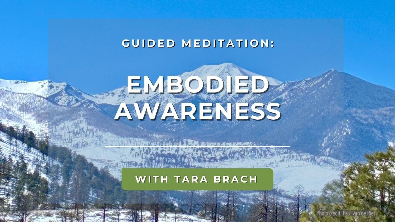 Guided Meditation: Embodied Awareness | Tara Brach