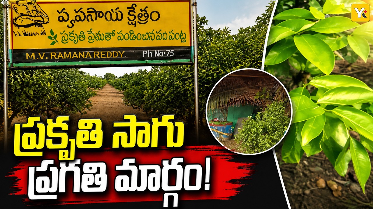 AP Natural Farming Push | Zero Budget Natural Farming for Farmers | Rayalaseema Horticulture Hub