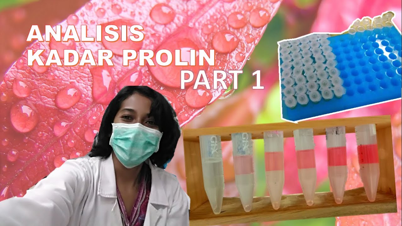 Pengukuran Kadar PROLIN - Bates Method (dengan Modifikasi)