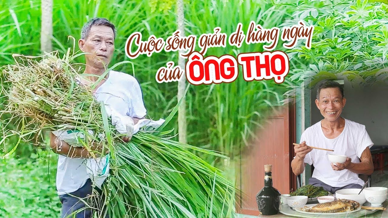 Cuộc Sống Giản Dị Hàng Ngày Của Ông Thọ | The Daily Simple Life Of Grandpa Tho