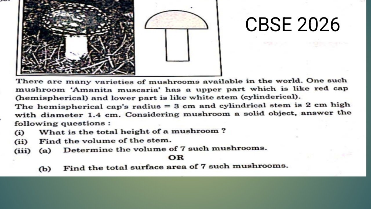 There are many varieties of mushrooms available in the world. One such mushroom'Amanita muscaria' h