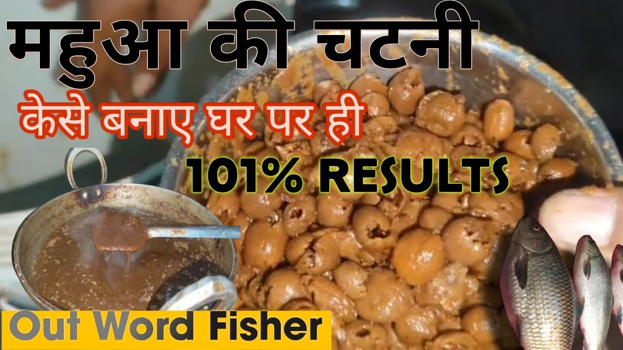 Mahua K Chatni Special Formula 101% result All #Carp #Fish Technique #viral #video #gwalior #fishing