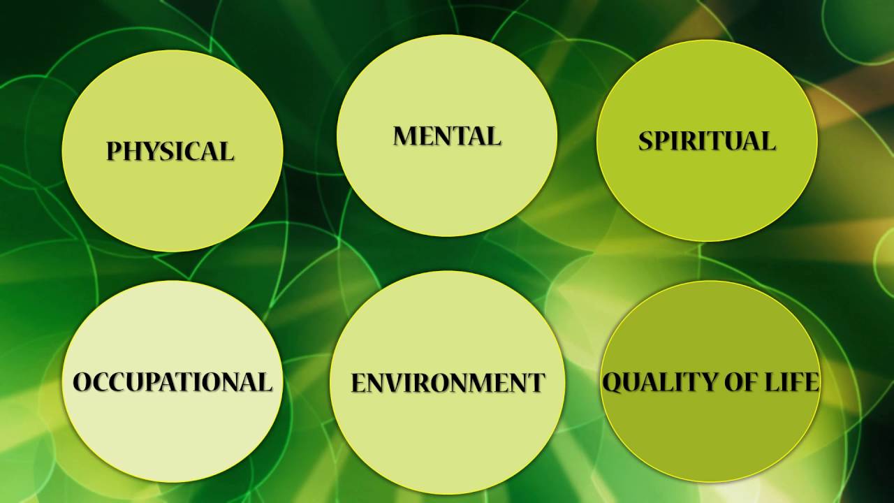 9 Dimensions Of Holistic Wellness
