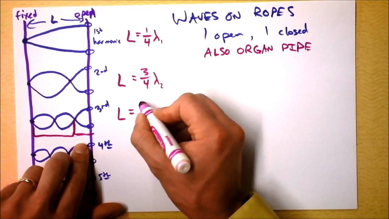 Standing wave harmonics in a tube with one closed end (Organ, Saxophone, Tuba) | Doc Physics
