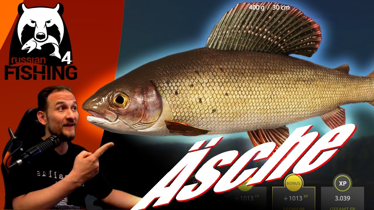 Russian Fishing 4 - Tunguska - Spinning, Topwater, Forellen, Äschen, Lenok, Buckellachs