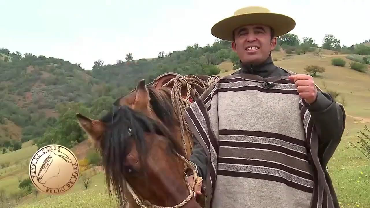 Documental Los Laceadores de Cerro en Tantehue - Sello de Raza