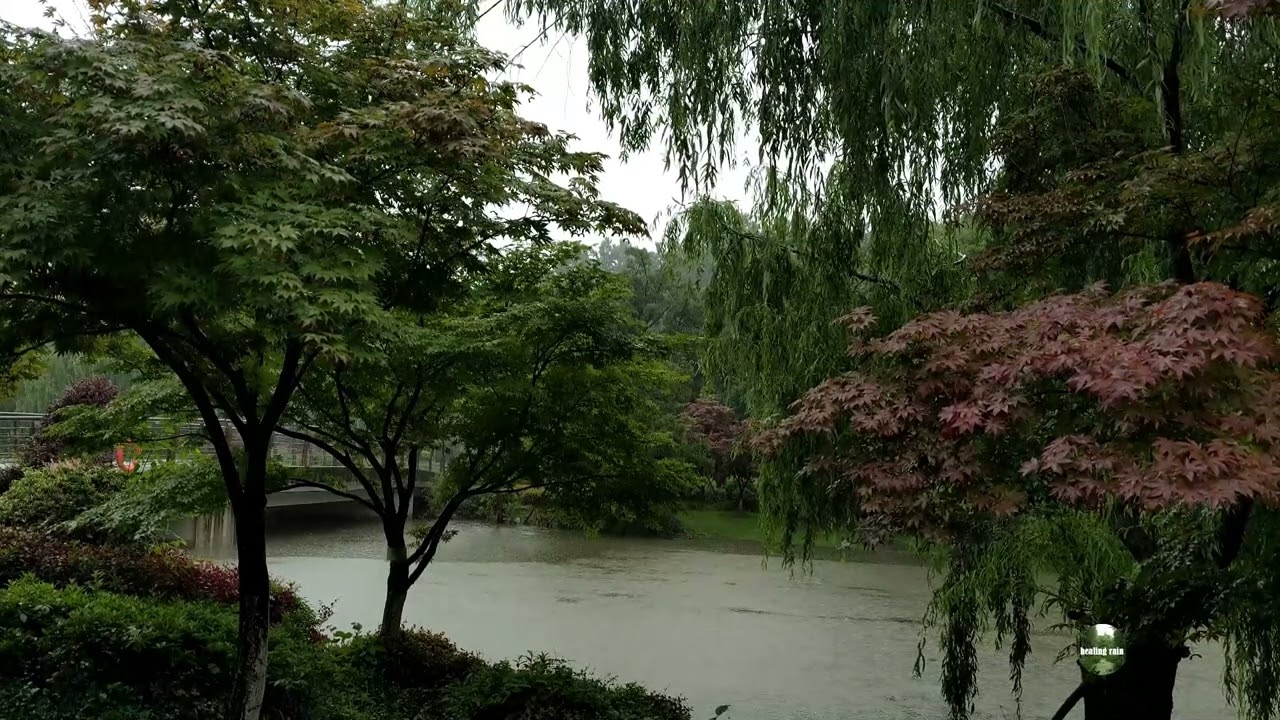 Sound of rain, video of natural scenery, fall asleep quickly in 5 minutes, help sleep，ASMR、Insomnia