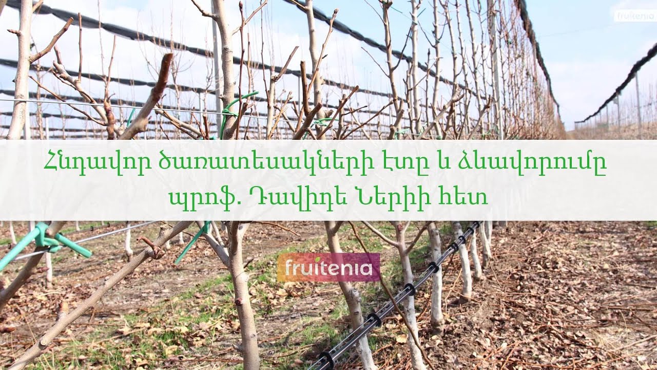 Հնդավոր ծառատեսակների էտը և ձևավորումը պրոֆ․ Դավիդե Ներիի հետ / Pruning with Prof. Davide Neri