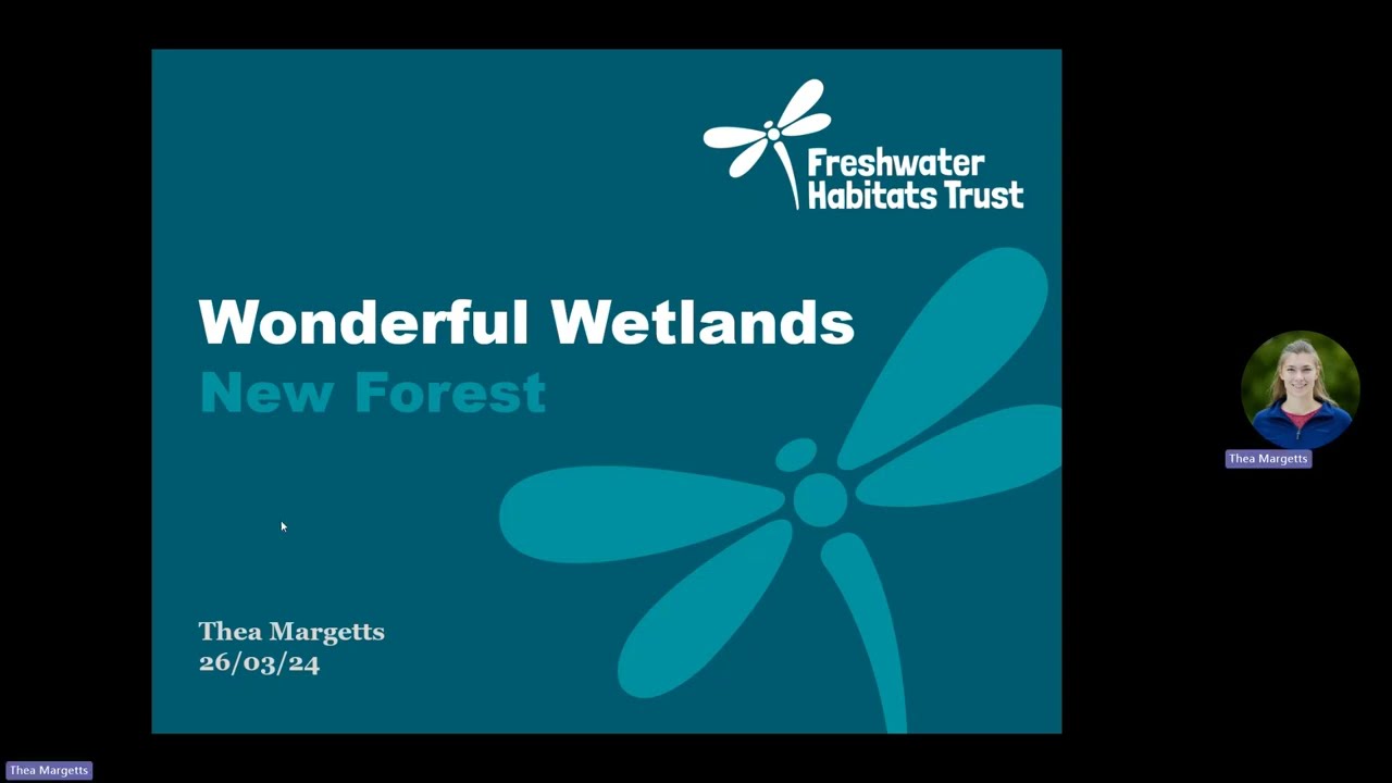 Wonderful Wetlands talk