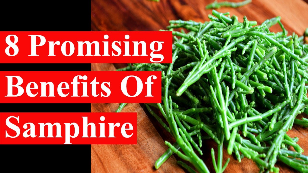 6 Promising Benefits Of Samphire | Health Benefits - Smart Your Health