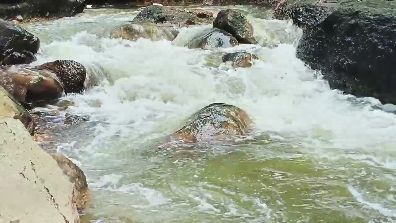Relaksasi Alami: Gemericik Air Sungai Jernih di Tengah Hutan yang Menenangkan 🌿💧.#relaxing 