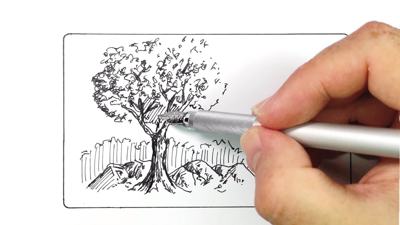Muji Fountain Pen Review For Doodling