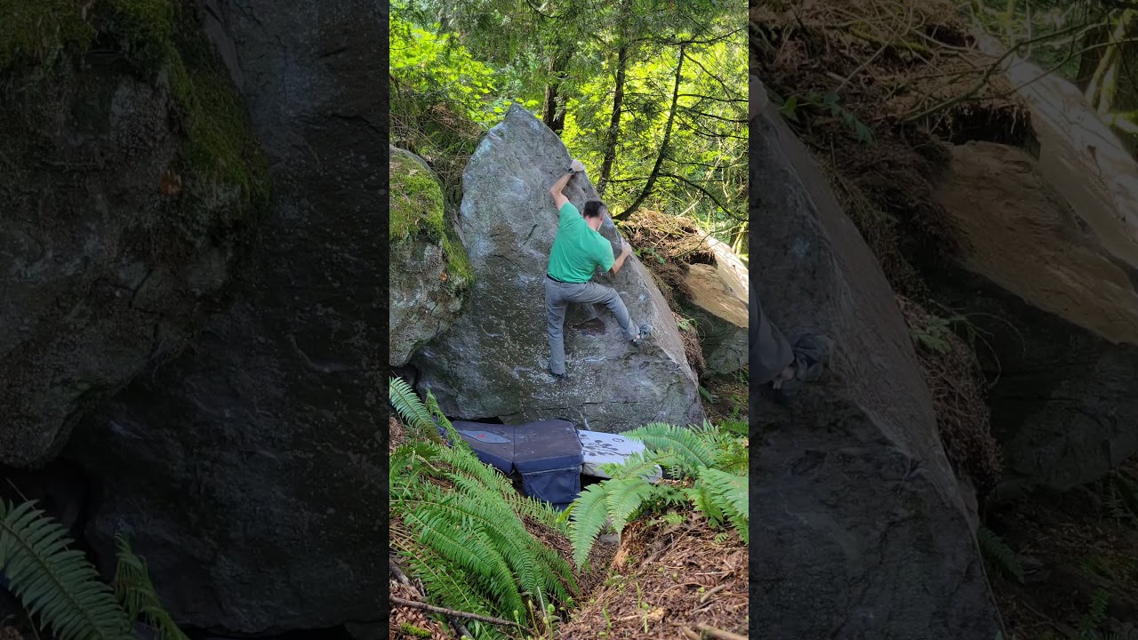 Cling Kong V4