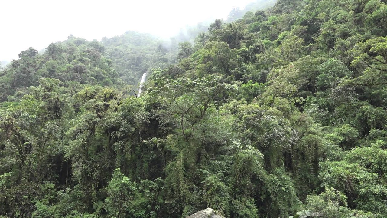 Costa Rica 2. Teil Orosi Tal