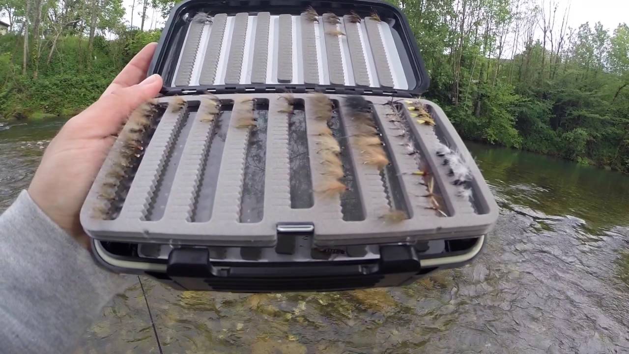 Belles truites FARIO à la mouche en Ariège - Baroudeur Fishing