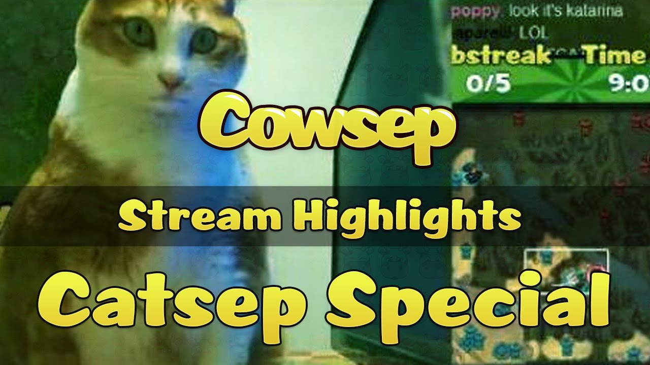 Cowsep Stream Highlights: Catsep Special