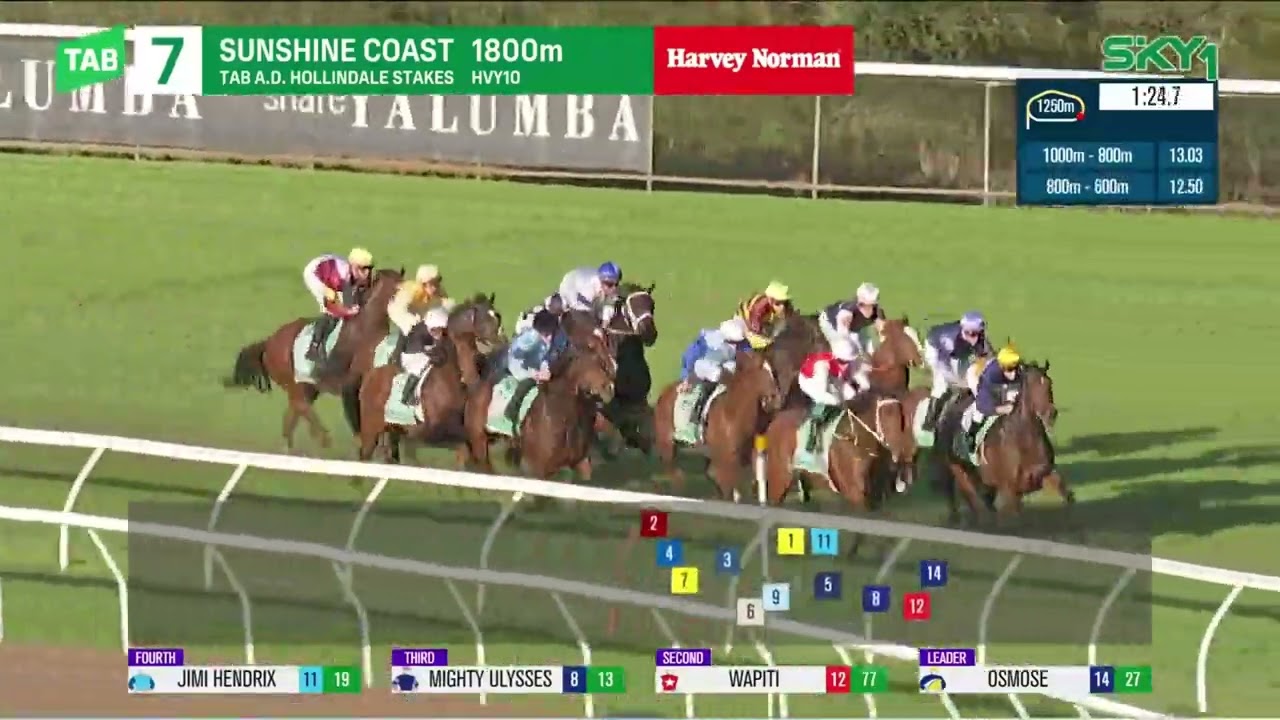 Hollindale Stakes 2024 - NUMERIAN (3YO+ WFA G2) Group 2 Sunshine Coast 11 May