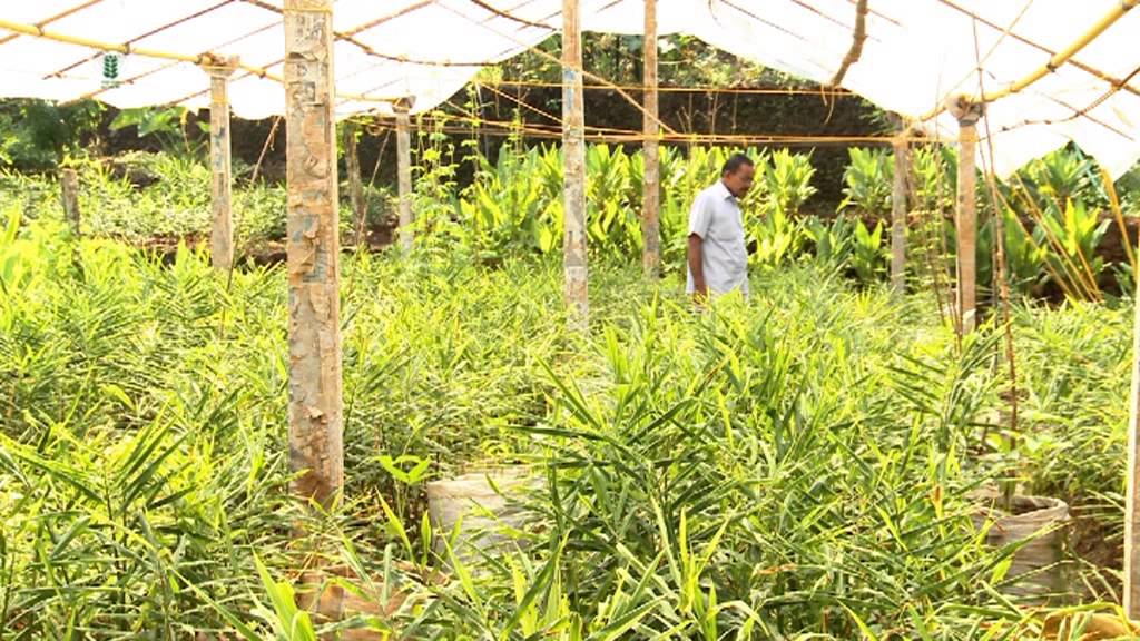 George Panackavayal: Harvester of Hope- Hindi
