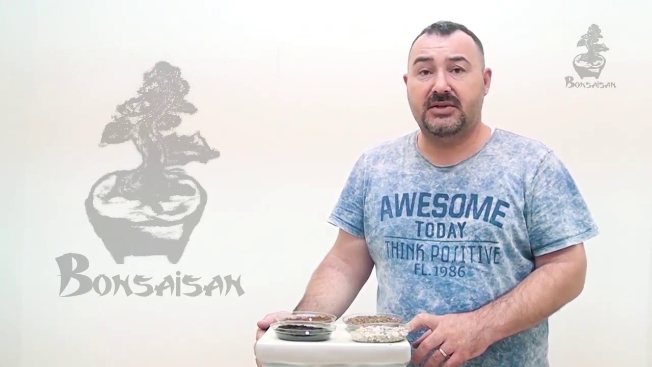 BONSAİ TOPRAK KARIŞIMI Nasıl olmalı? 