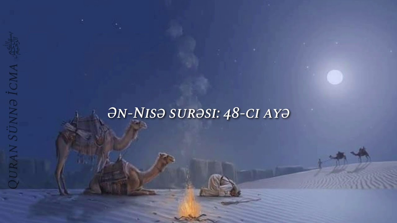 Əhli-sünnətin Hüseyn ibn Əlinin qatillərinə münasibəti ⛔ (02.09.20)Abu Zeyd