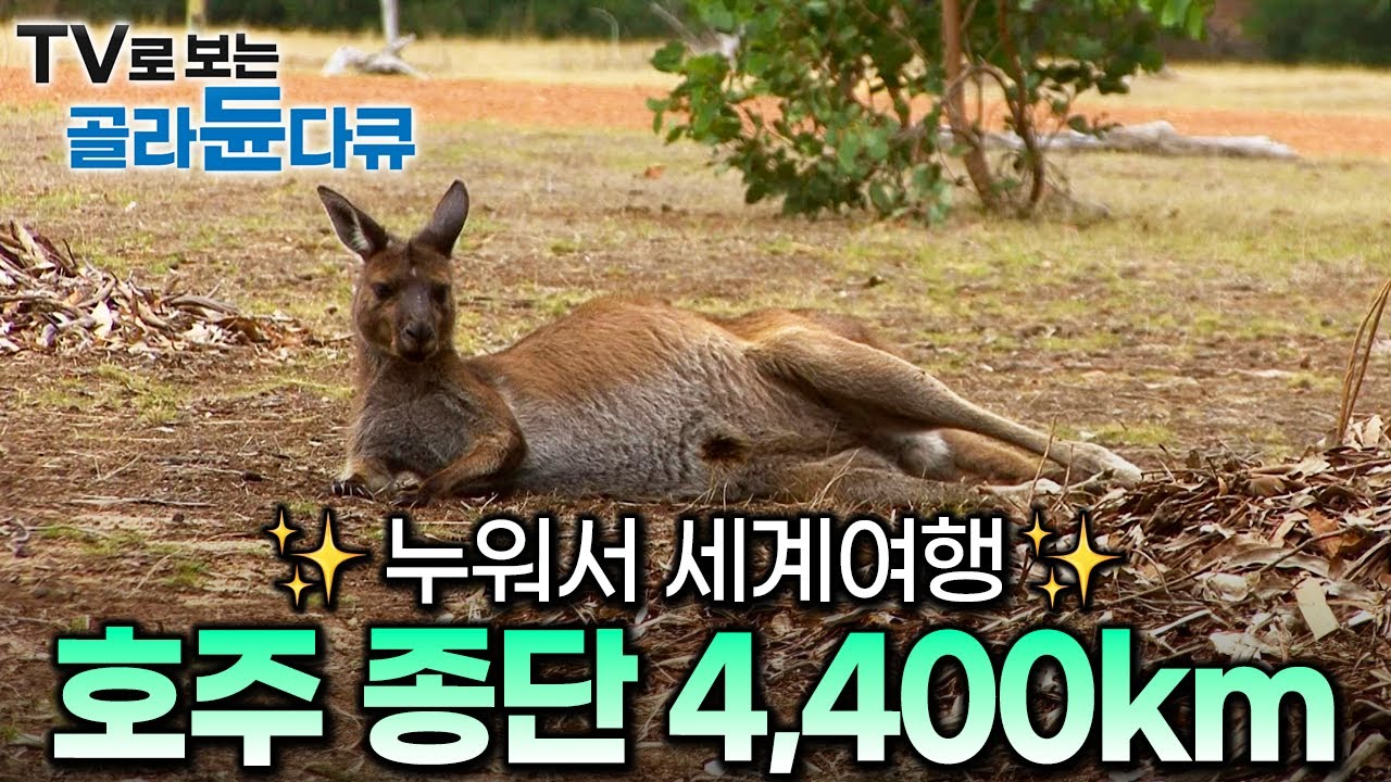 호주 여행, 누워서 한방에 끝내자👍 지구에서 가장 큰 섬. 천혜의 자연 품은 호주 종단 여행｜EBS가 떠먹여주는 해외여행｜세계테마기행｜#골라듄다큐