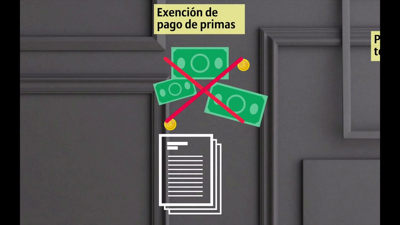 OptiMaxx protección