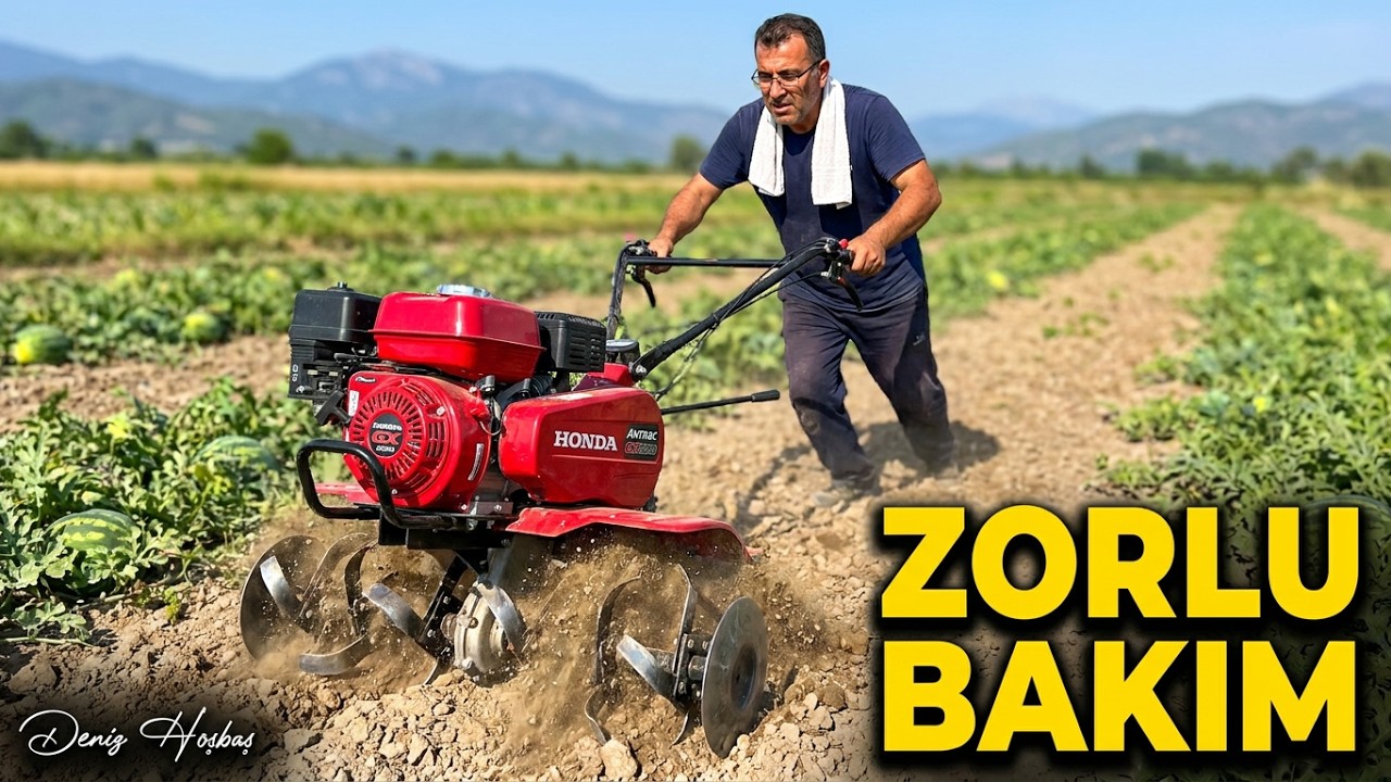 Karpuz Bakımı Başladı ! HONDA ANTRAC GX200 ÇAPA MAKİNESİ