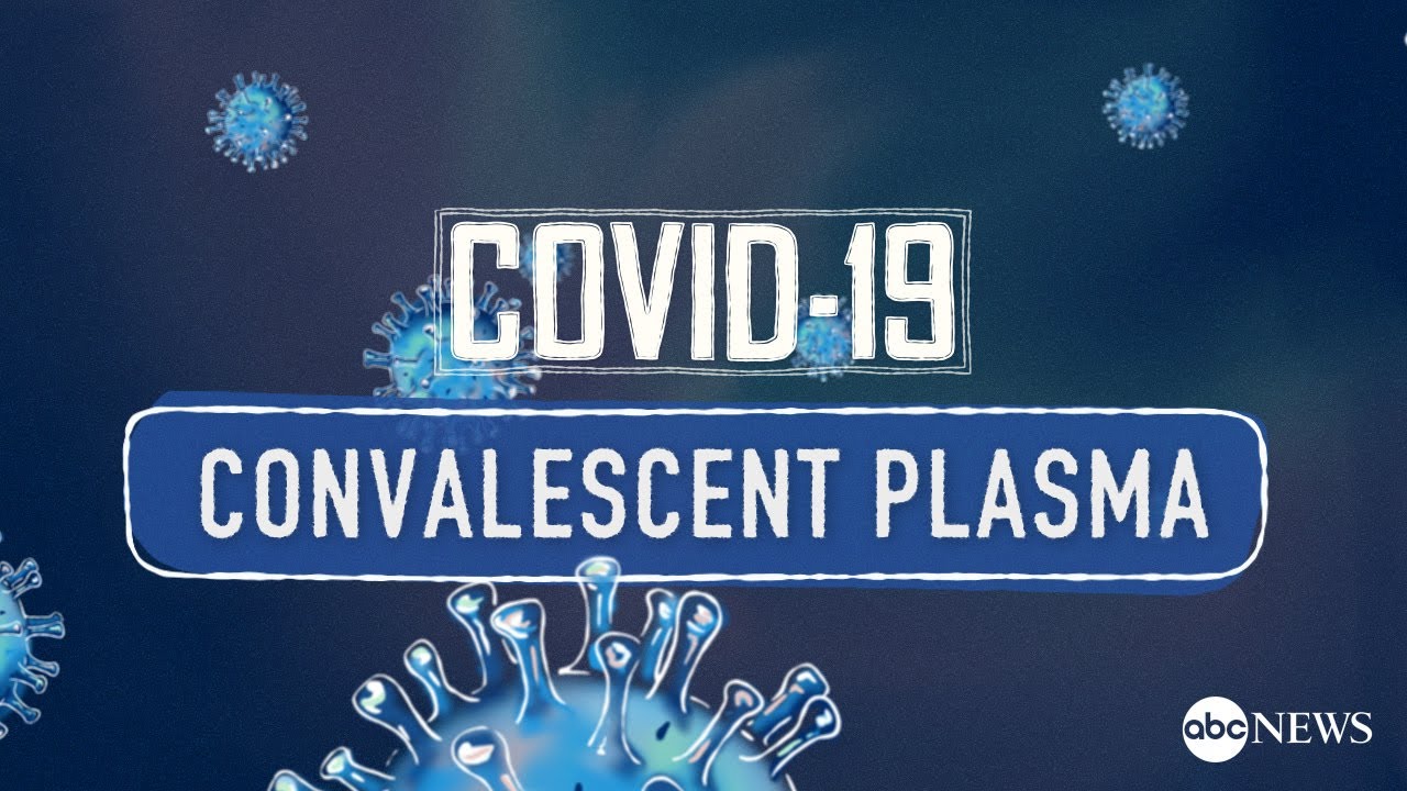 How can antibodies be used to treat COVID-19: Blood plasma explained
