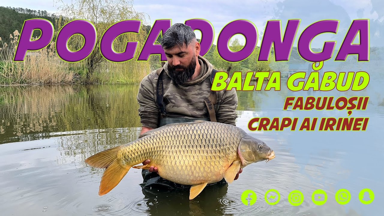 Pogadonga - Balta Găbud Fabulosii Crapi Ai Irinei 48 h 4K