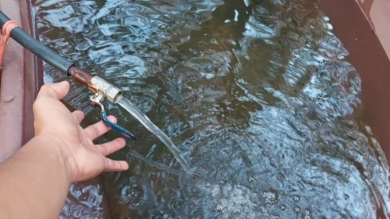 Esto hacemos para darle agua limpia a las vacas | usamos el sistema por gravedad | Soy Francisco V.