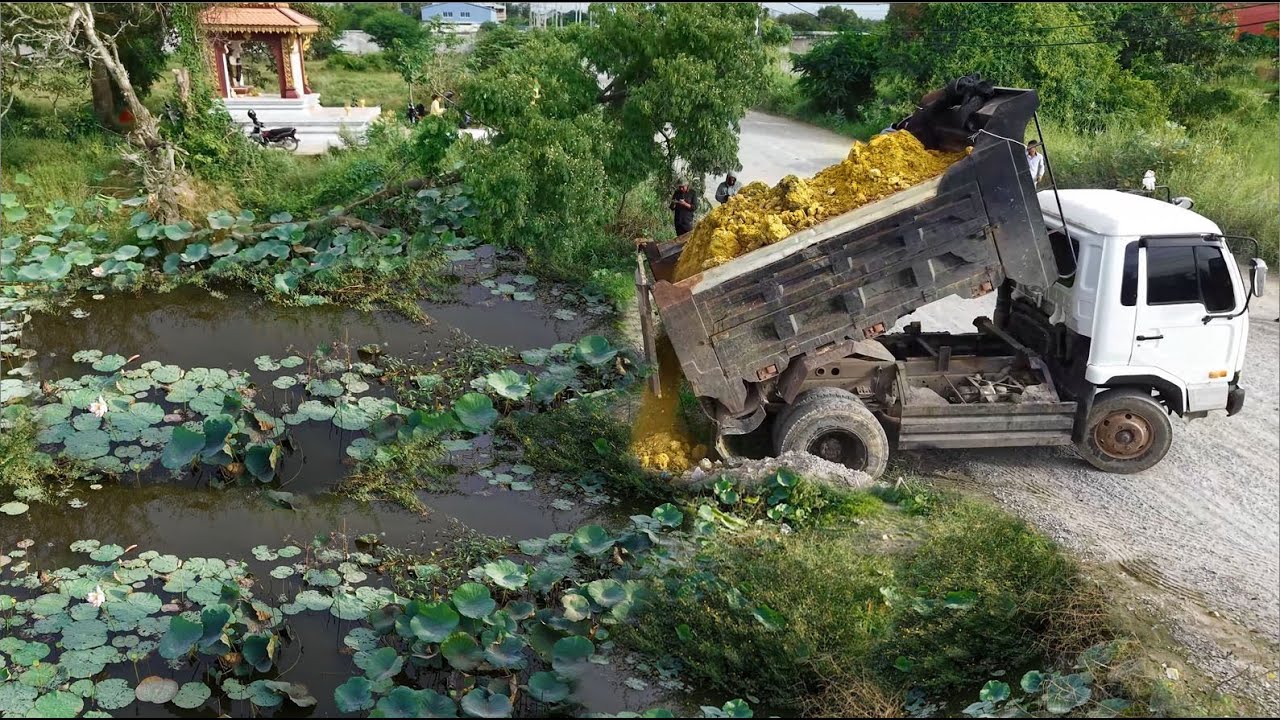 Full Video,Start Opening New Project!Dump Truck Fillland DeletePond,With Skillful Dozer Pushing Soil