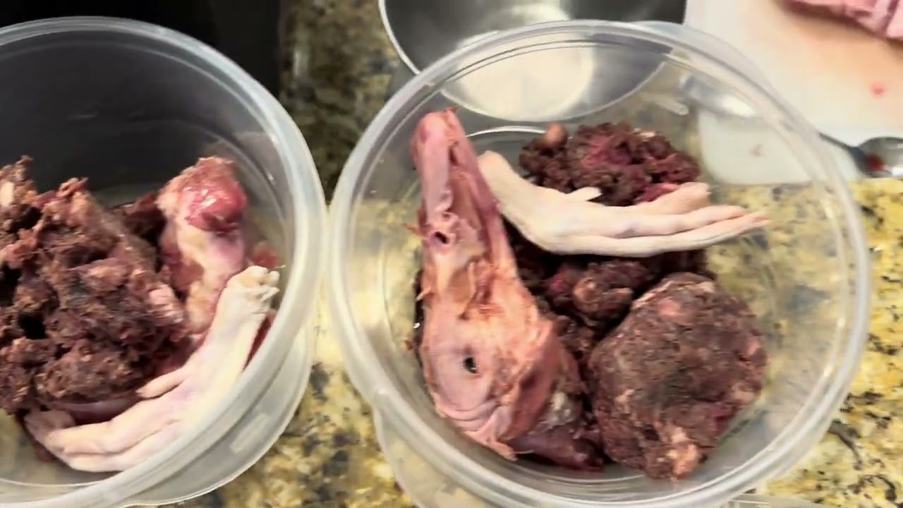 Balanced raw diet for boerboels: meat, bones, & nutrients #rawfeddog