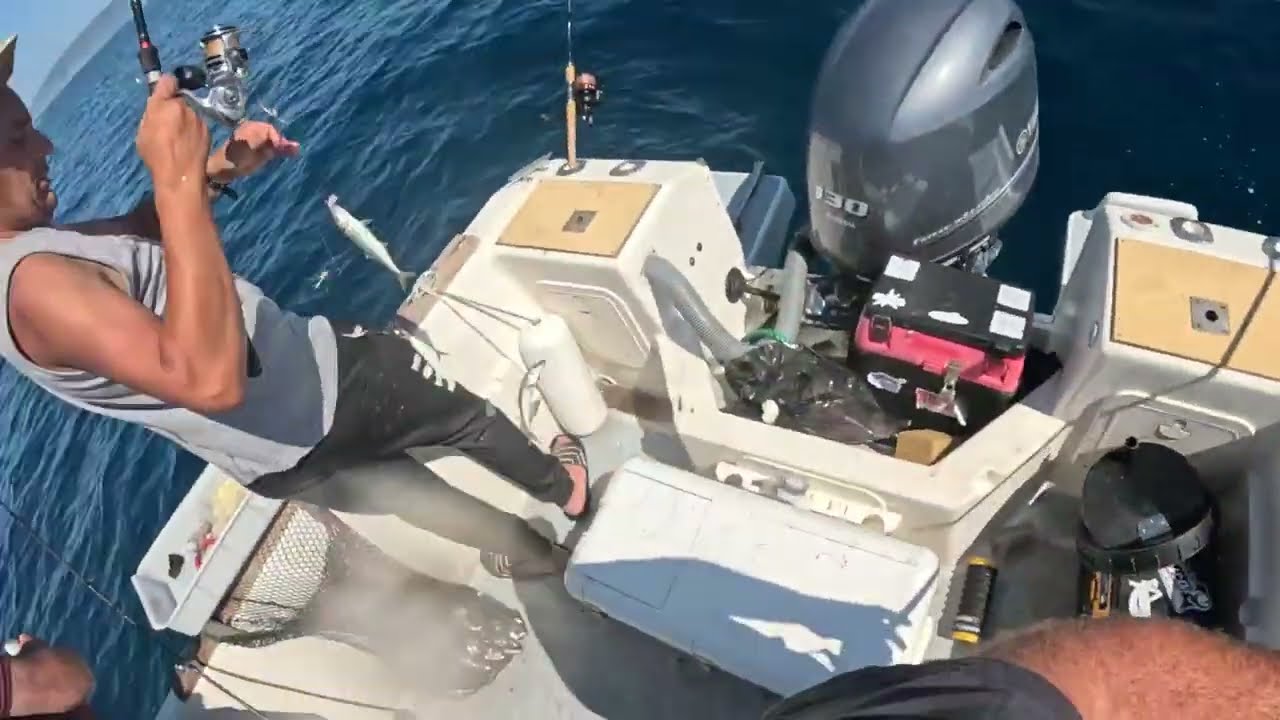 PESCA AO CARAPAU EM SETUBAL &Eacute; SEMPRE A ABRIR (DIRETO)