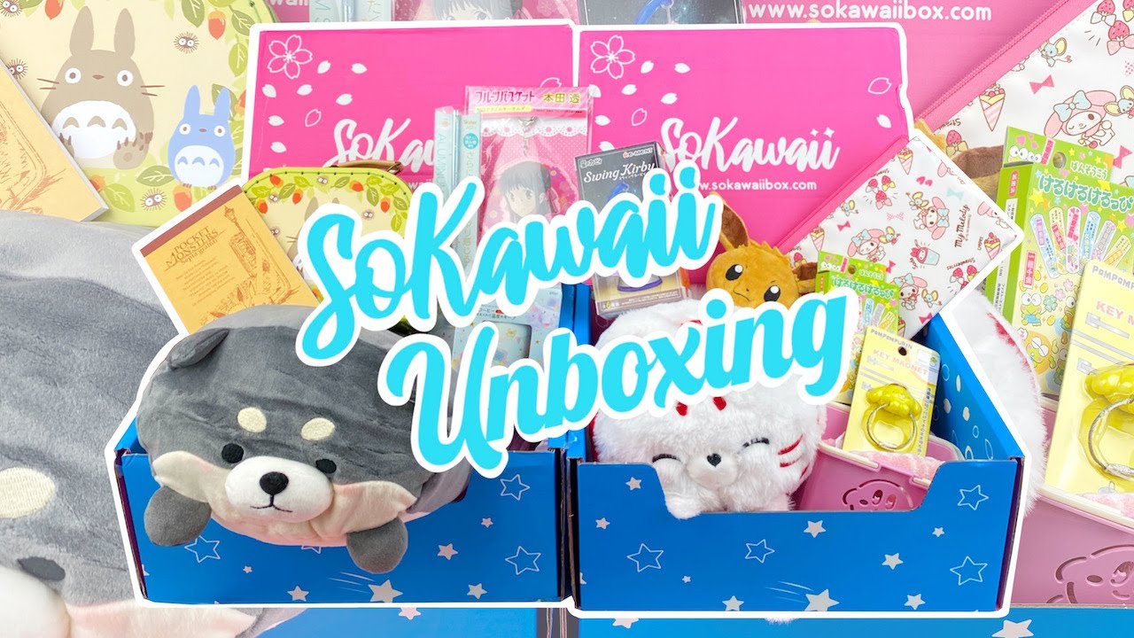 Opening 2 SoKawaii Boxes! KIRBY RE-MENT, POKEMON, SANRIO MY MELODY, STUDIO GHIBLI | SoKawaii Box ♡