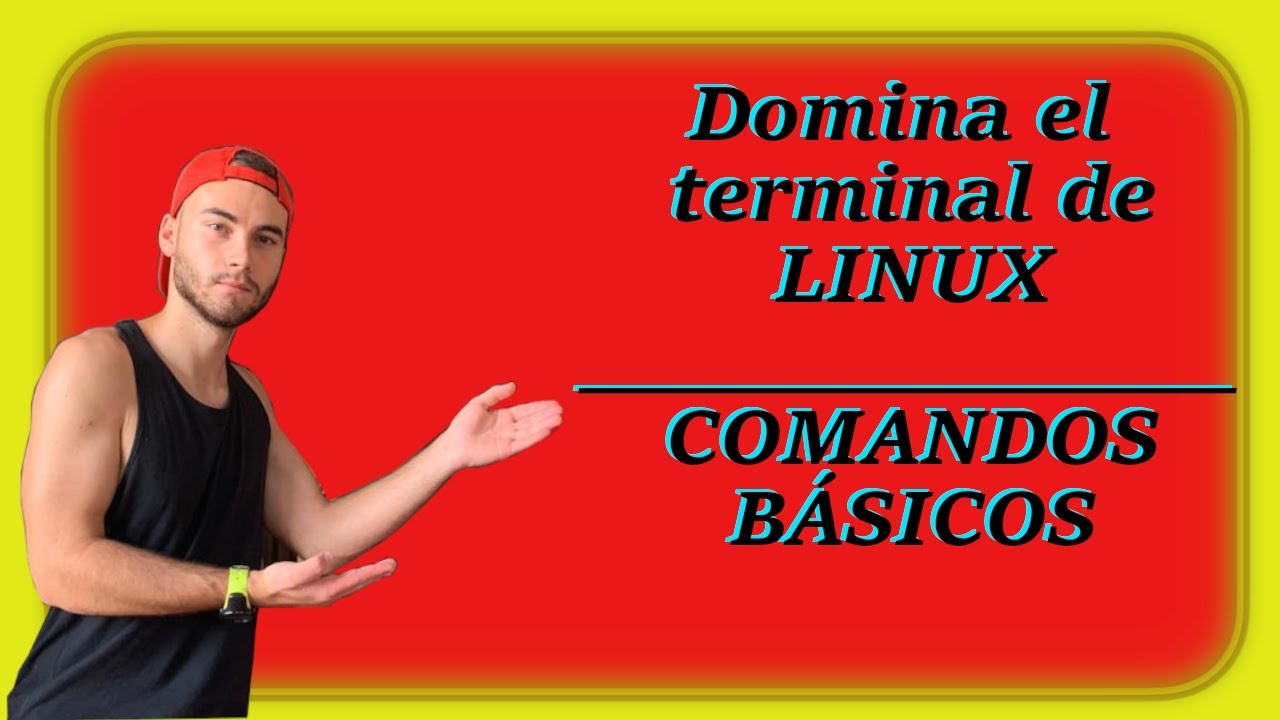 Domina el TERMINAL de LINUX | Comandos B&aacute;sicos
