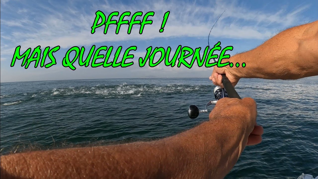Thons et thonines en chasse devant Frontignan ! Je loupe le coche...