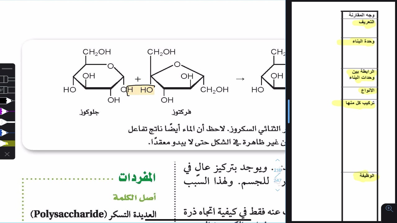 الكربوهيدرات
