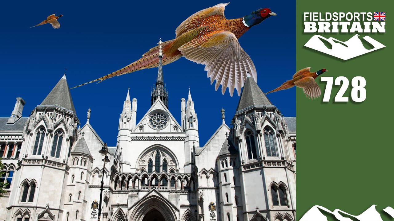 Fieldsports Britain – Packham, partridges and high pheasants