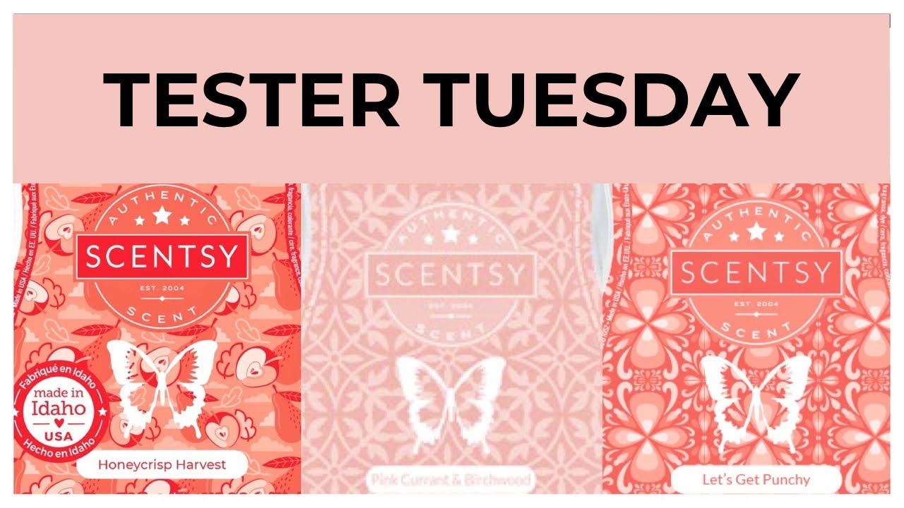 Tester Tuesday Honeycrisp Harvest, Pink Currant & Birchwood and Let’s Get Punchy (Scentsy Reviews)