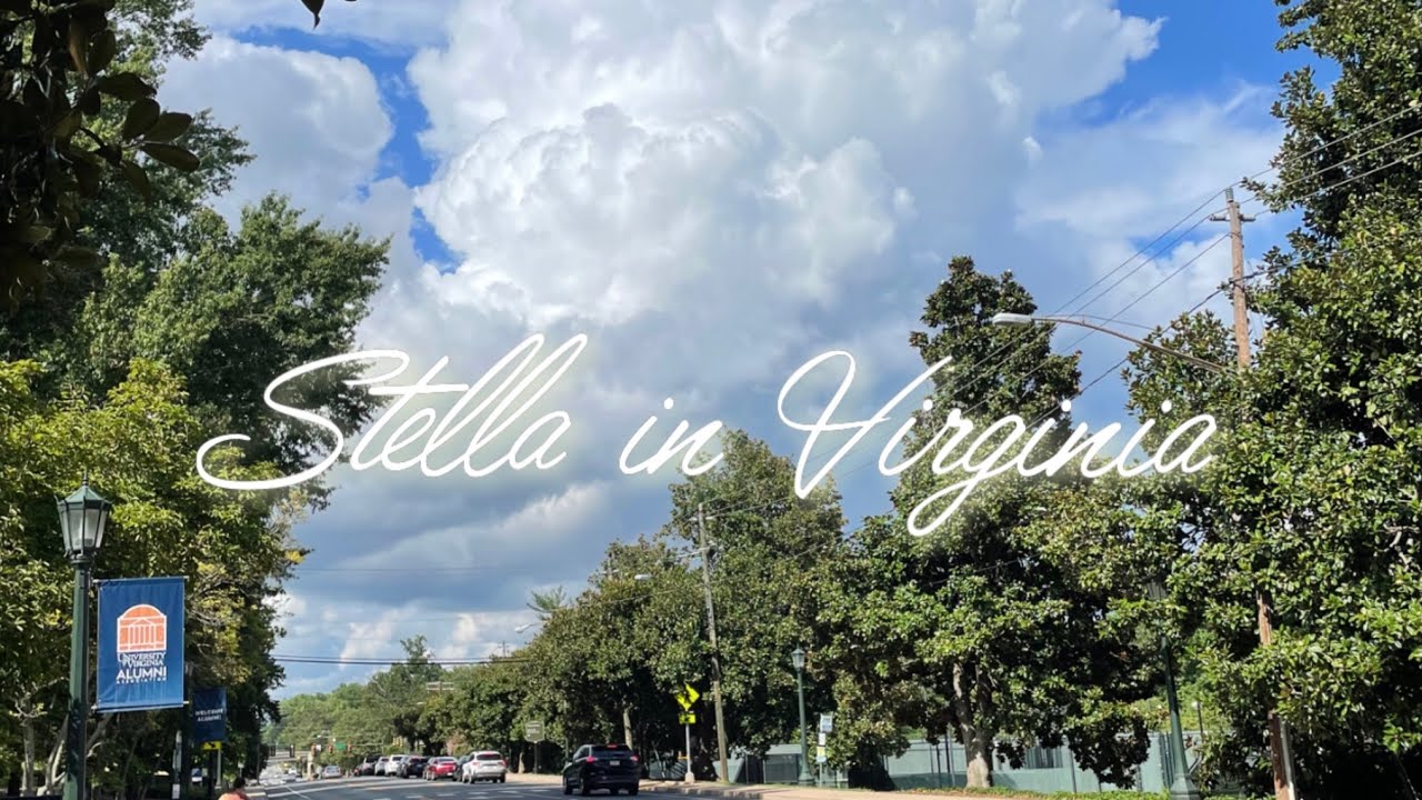 [Stella in Virginia] Ep.1 코시국 미국 교환학생 출국기