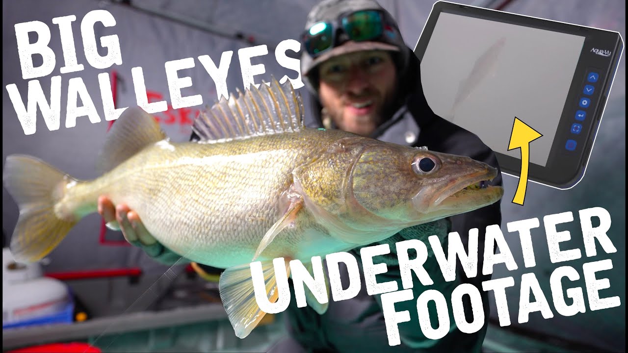 Ice Fishing CRAZY School of BIG Walleyes + UNDERWATER FOOTAGE!