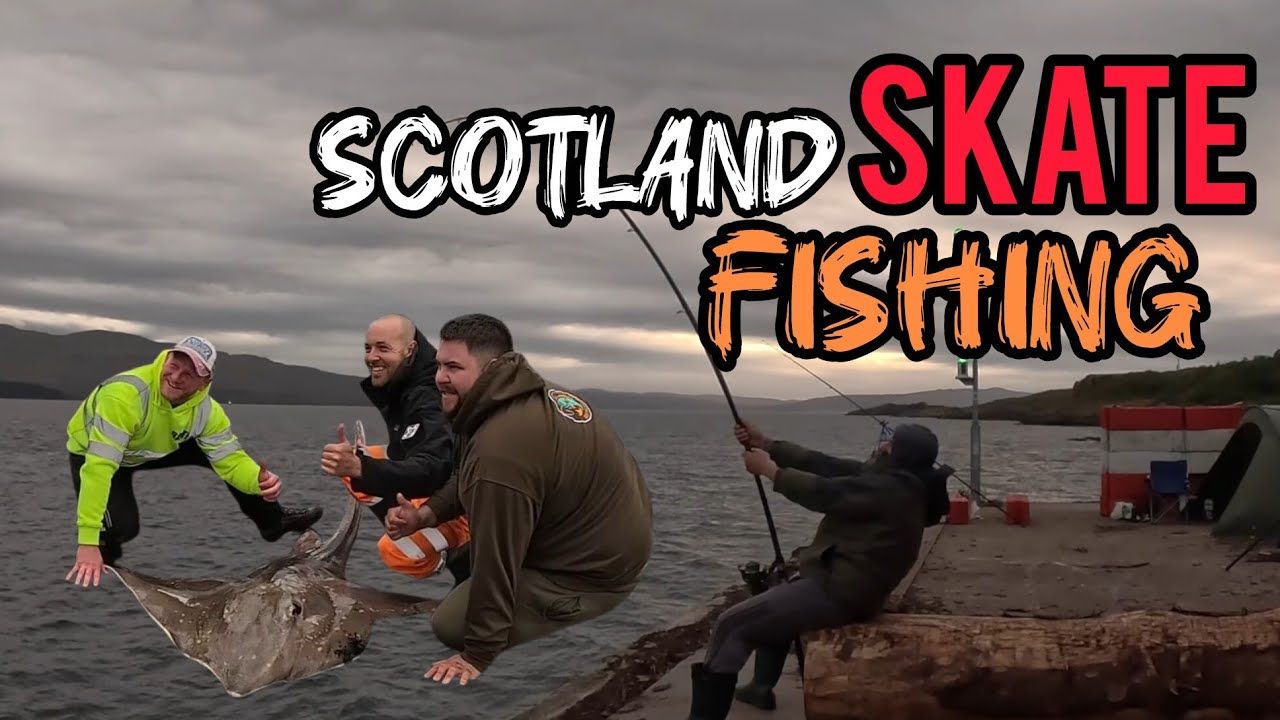 Flapper skate fishing at | Lochaline | part 2
