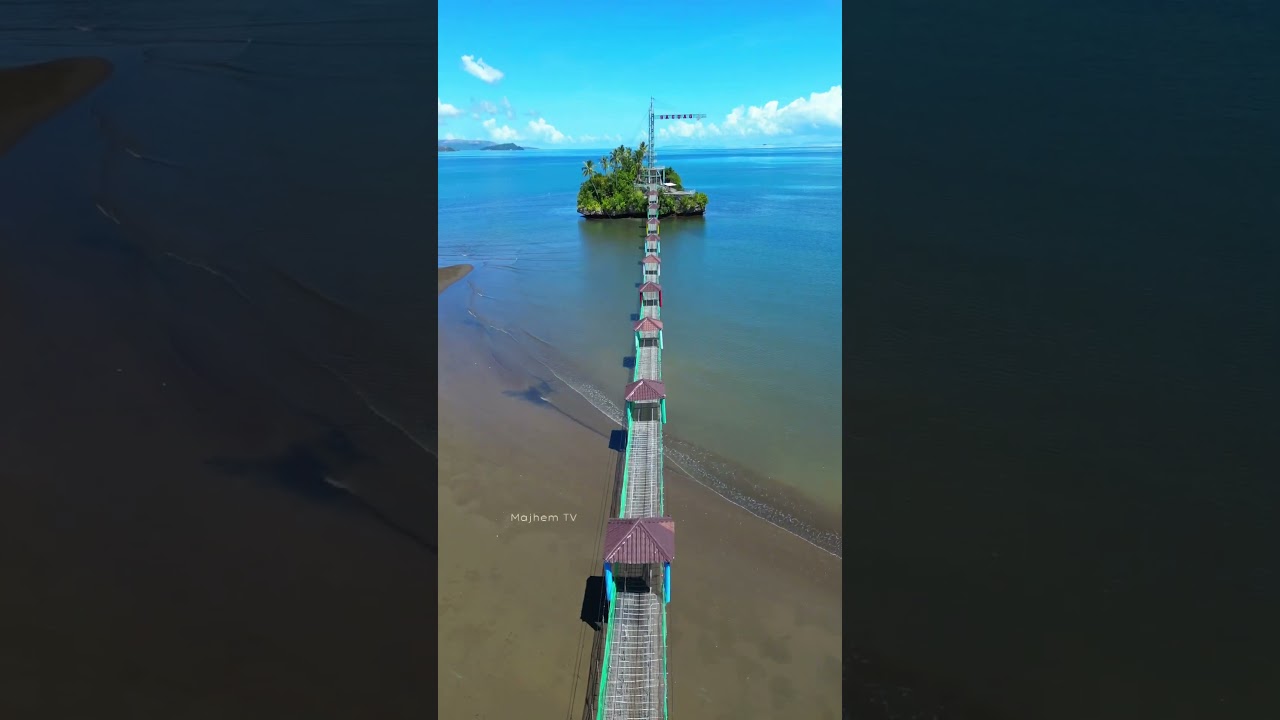 Bacuag Octopus Islet Adventure / Surigao del Norte #shortsvideo  #shorts  #shortsviral #nature