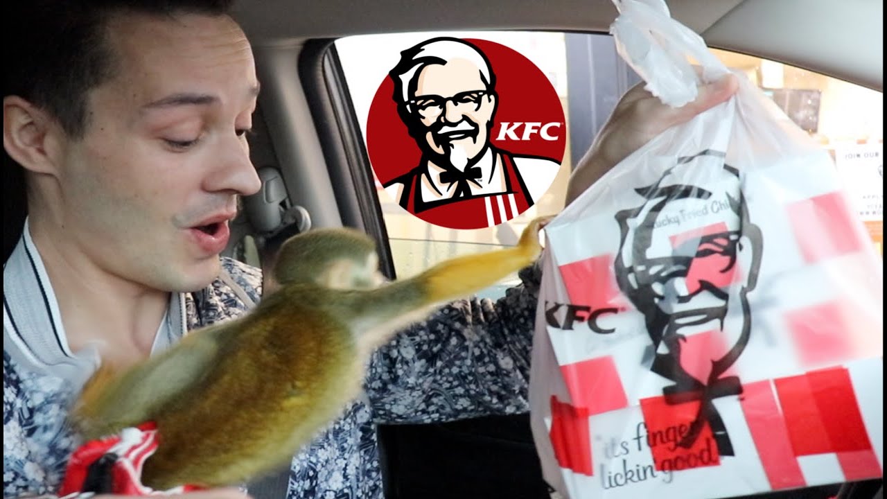 Маленький обезьянка Олли посетил автокафе KFC!