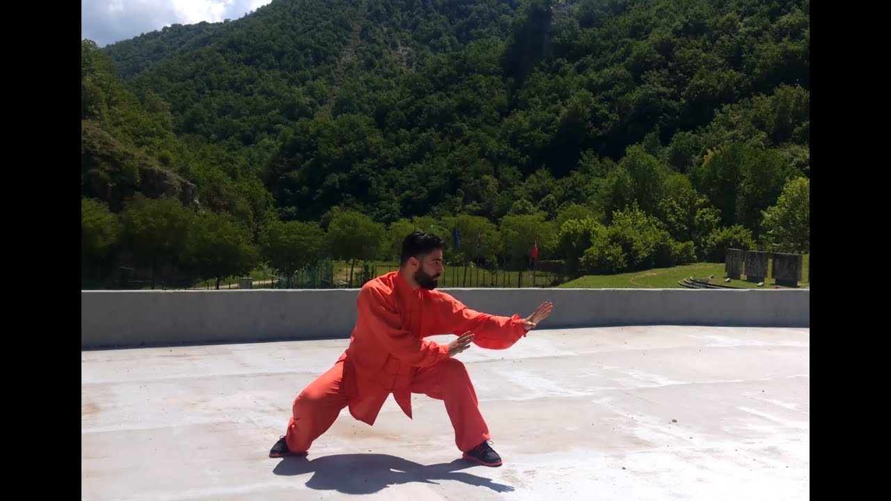 Kung Fu Qixing Tanglang Lan Jie  Seven Stars Mantis Intercepting Fist Mantide sette stelle Falanga