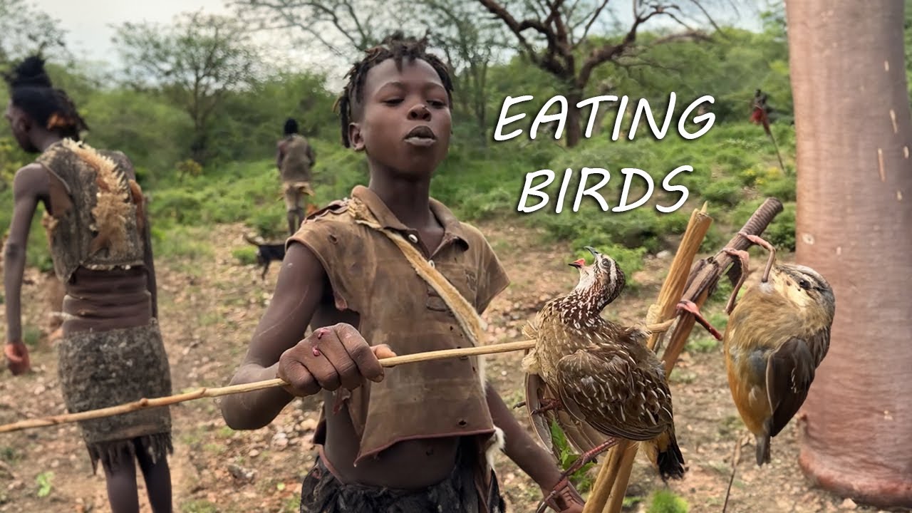 Hadzabe Tribe | Eating Birds to Survive in the Forest