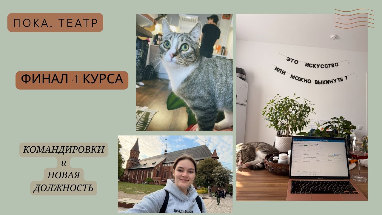 Новая работа / уволилась из театра / дни перед защитой диплома / Калининград и Москва